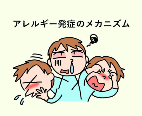アトピーや花粉症などのアレルギー発症のメカニズム