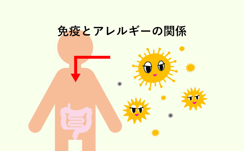 免疫とアレルギーの関係