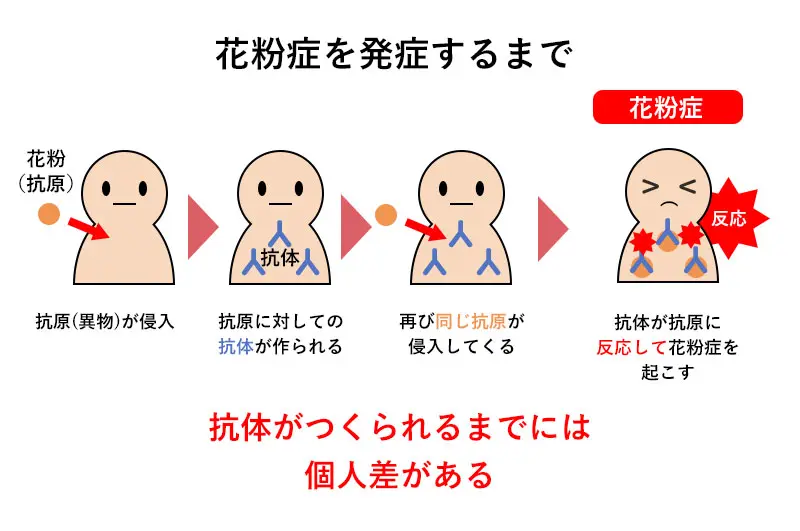 花粉症にヨーグルトの乳酸菌が効くのは本当ですか？ - 乳酸菌の美容と