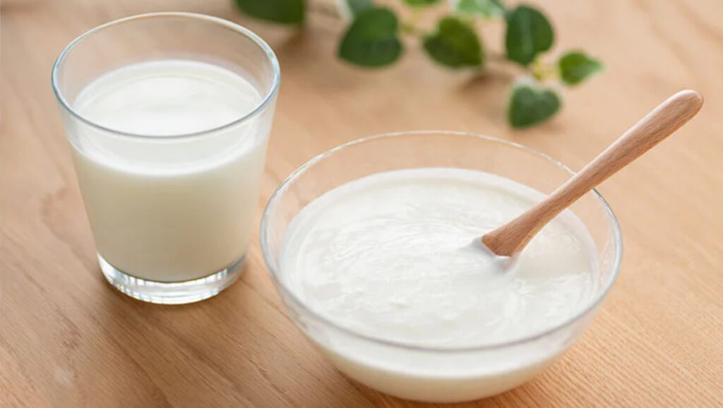乳酸菌とビフィズス菌の違いは?腸内環境を整える「菌活」ガイド