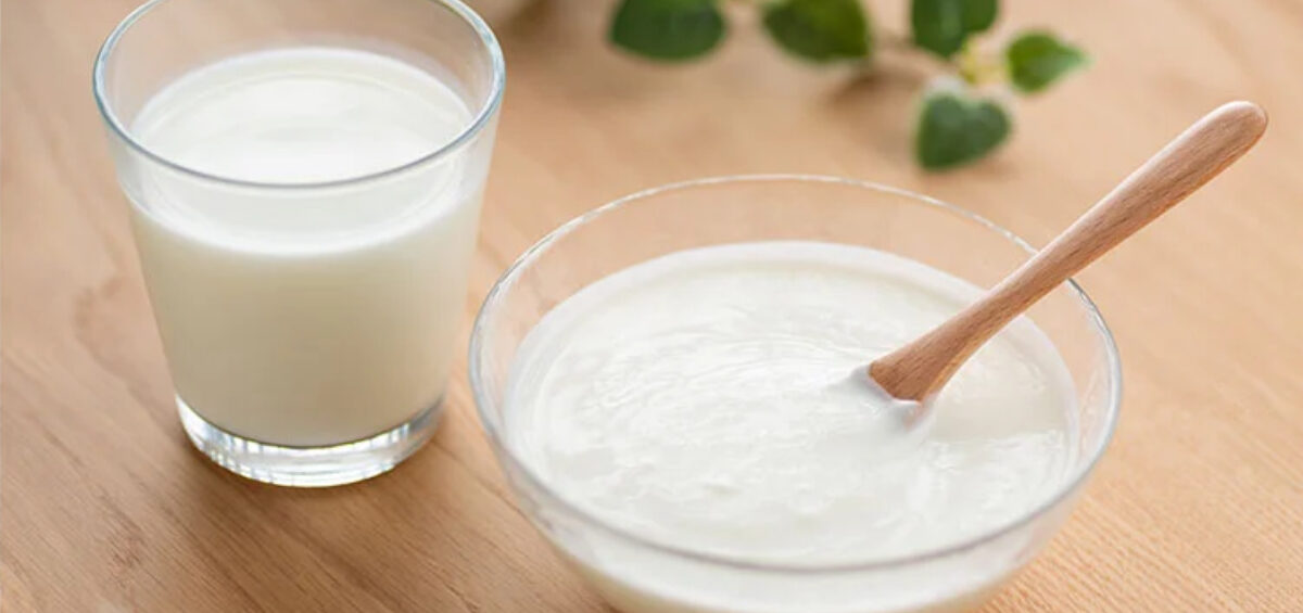 乳酸菌とビフィズス菌の違いは？腸内環境を整える「菌活」ガイド