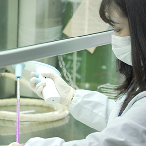 菊正宗酒造 乳酸菌研究開発チーム