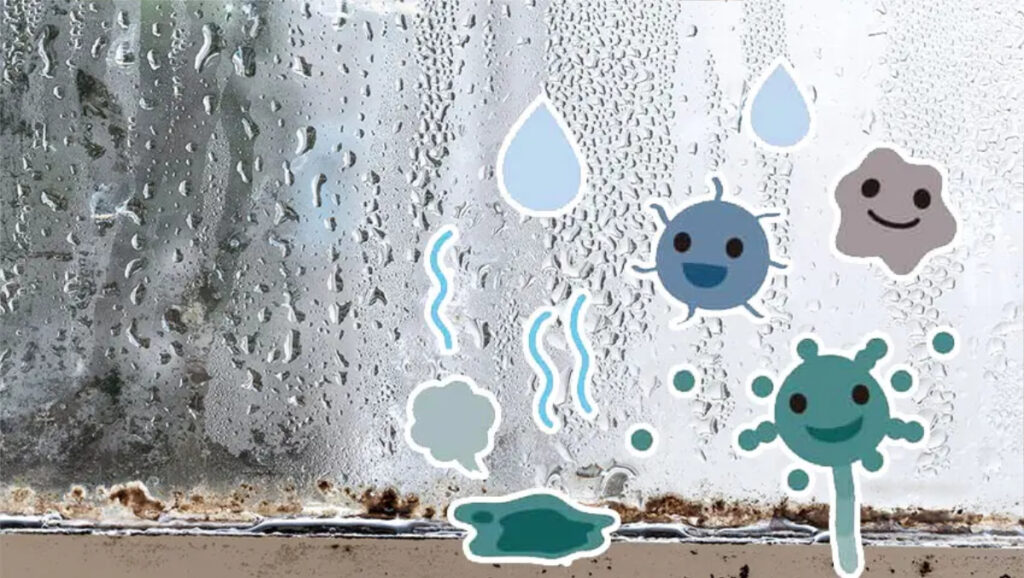【梅雨のカビ・ダニ】子どものアレルギー!専門家が勧める腸活