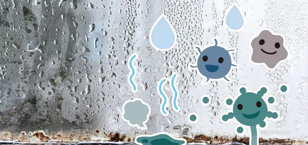 【梅雨のカビ・ダニ】子どものアレルギー！専門家が勧める腸活