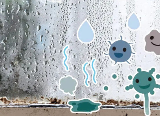 【梅雨のカビ・ダニ】子どものアレルギー！専門家が勧める腸活