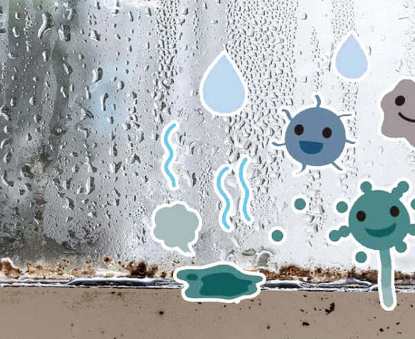 カビやダニが大繁殖！？梅雨のアレルギーに要注意