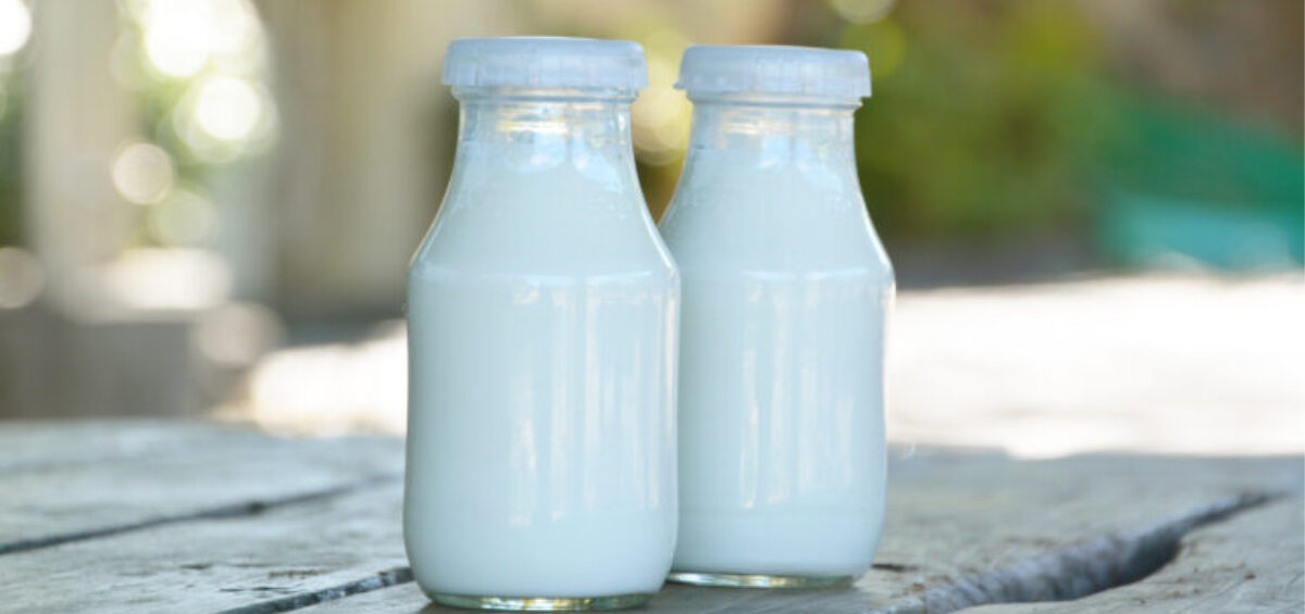 LK-117乳酸菌とは?研究背景と菌株としての位置づけを解説