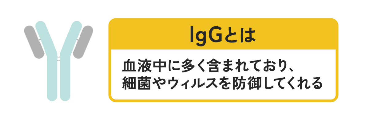 子どもの成長と免疫力＜IgGの変化＞