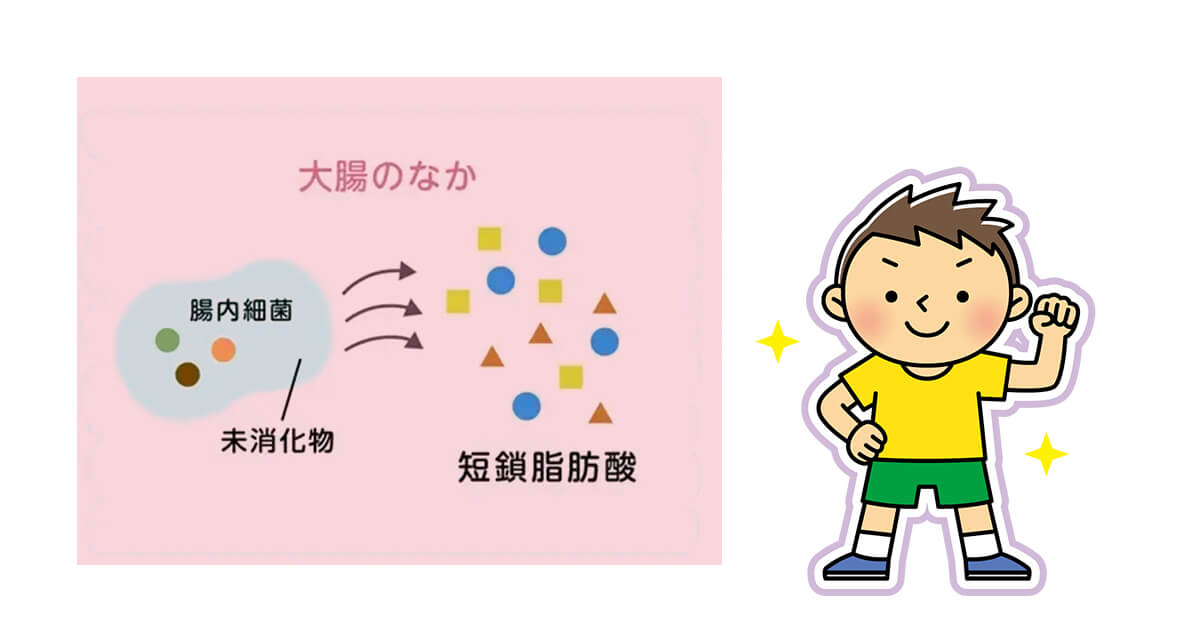 短鎖脂肪酸ってなに