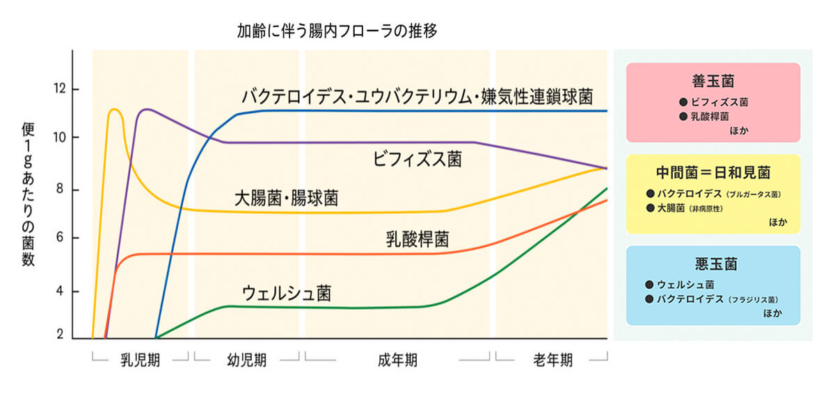 子どもが風邪をひきやすいのは、免疫システムがまだ未熟であるため