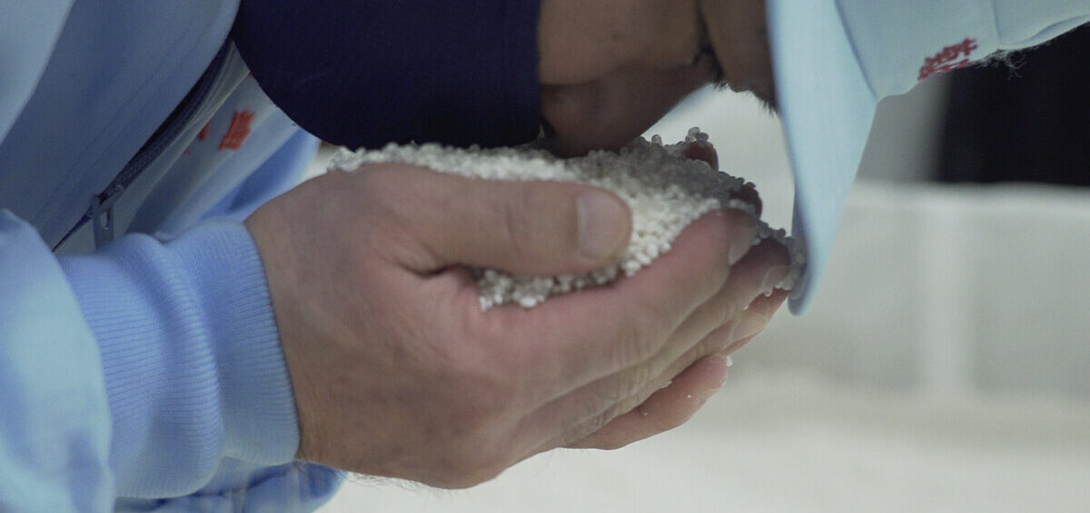 LK-117乳酸菌とは？研究から見るその可能性と有用性