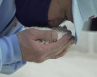 LK-117乳酸菌とは?研究から見るその可能性と有用性