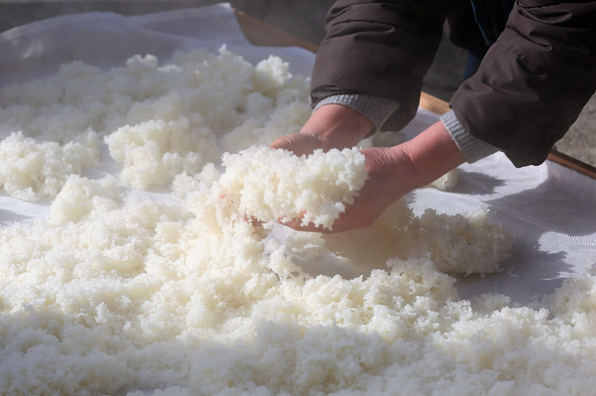 乳酸菌が拓く新しいケア