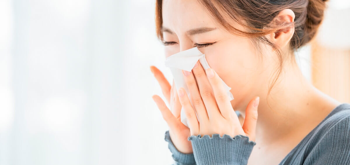 乳酸菌と分泌型IgA｜花粉症・アレルギーを左右する粘膜免疫