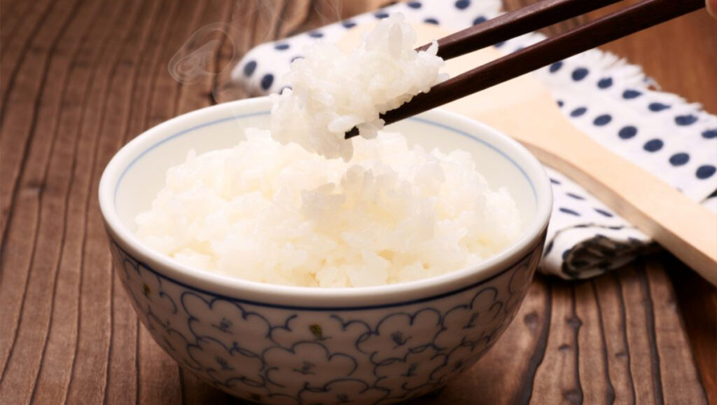 腸内細菌はどのくらいで入れ替わる？食事・乳酸菌・抗生物質後の期間