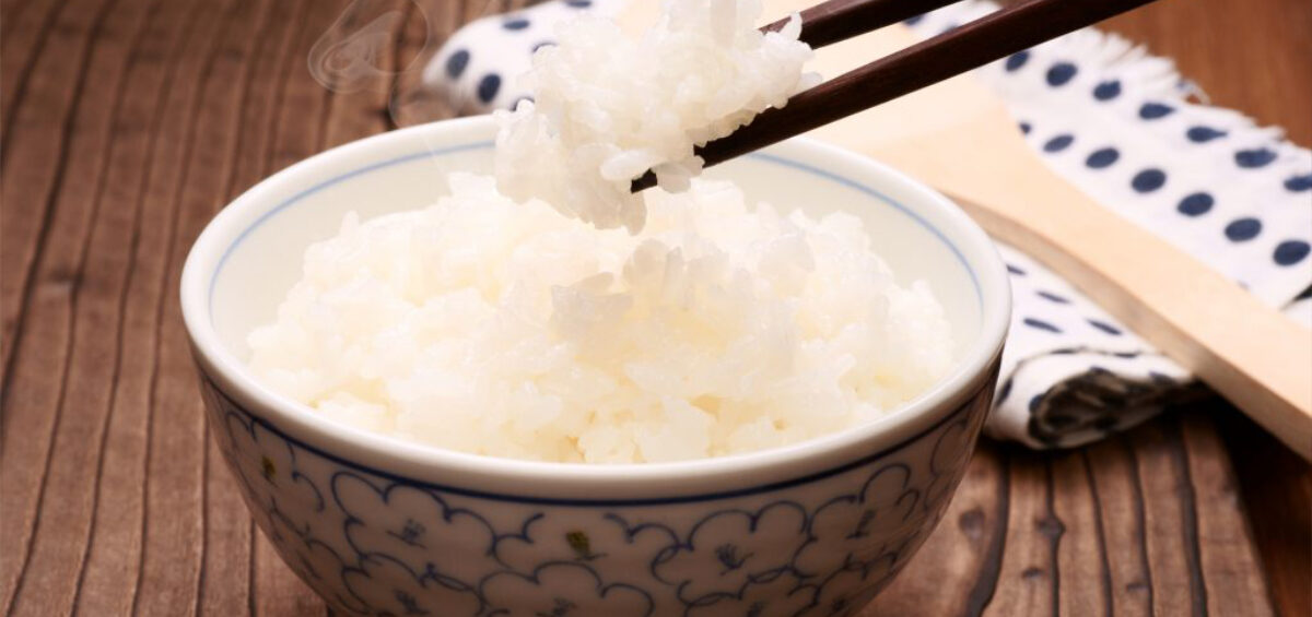 腸内細菌はどのくらいで入れ替わる？食事・乳酸菌・抗生物質後の期間