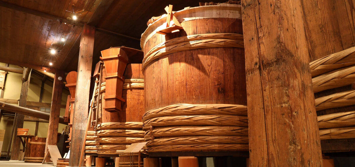 日本酒と乳酸菌の関係｜生酛づくりが生む発酵の力